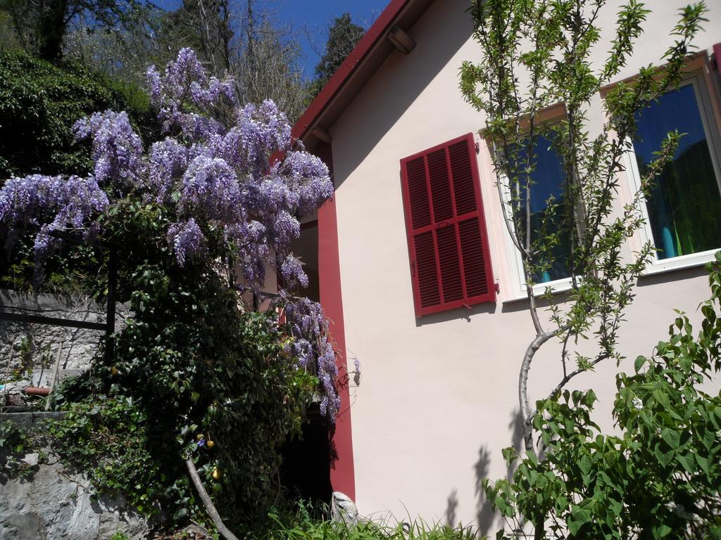 Saint-Dalmas-de-Tende Chambres D'Hotes Casa Sylvana المظهر الخارجي الصورة